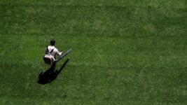 Hear That? It’s the Sound of Leaf Blower Bans
