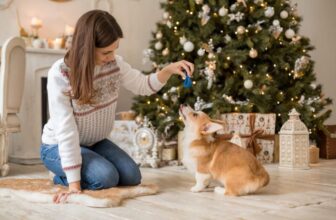 Gift Ideas For Traveling Dogs And Cats